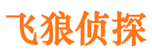 让胡路市私人侦探